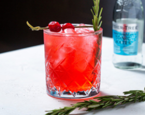 Коктейльный мастер-класс Winter cranberry