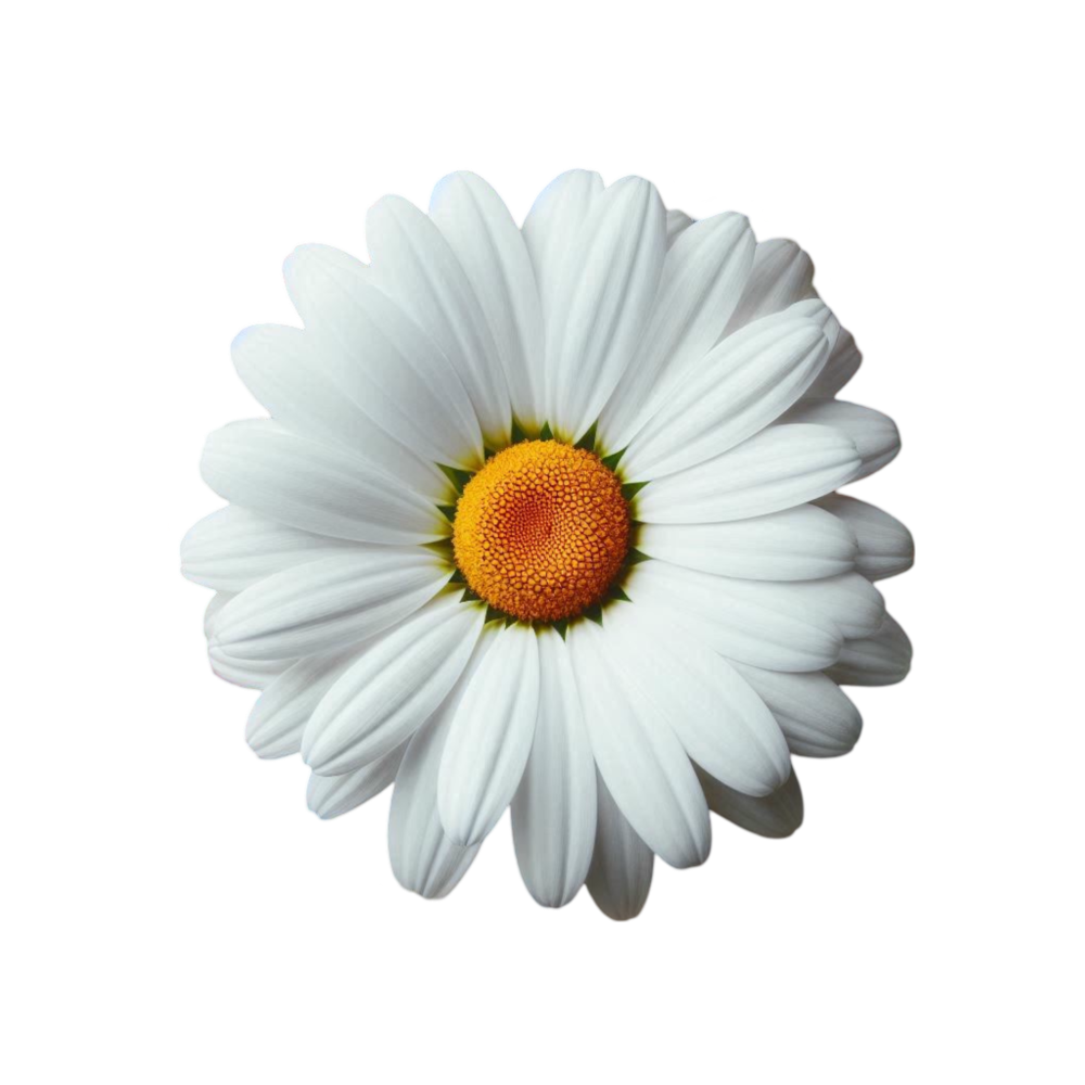 EventyOn 1761852892203